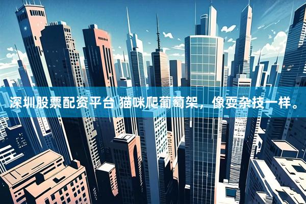 深圳股票配资平台 猫咪爬葡萄架，像耍杂技一样。