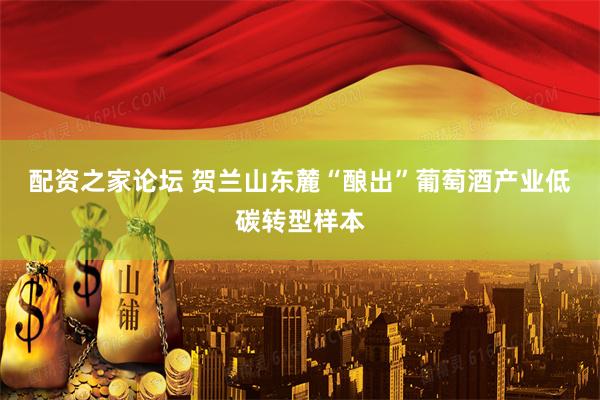 配资之家论坛 贺兰山东麓“酿出”葡萄酒产业低碳转型样本